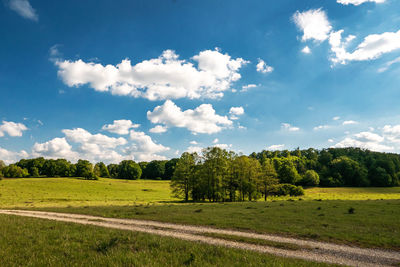 Scenic view of trees on field against sky