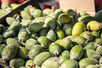 Green pineapple guava in a basket sold at a farmers market and grown locally in southern california.