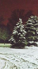 Scenic view of snow covered landscape