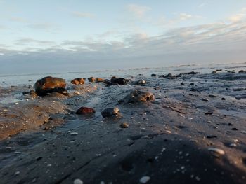 Scenic view of shore against sky