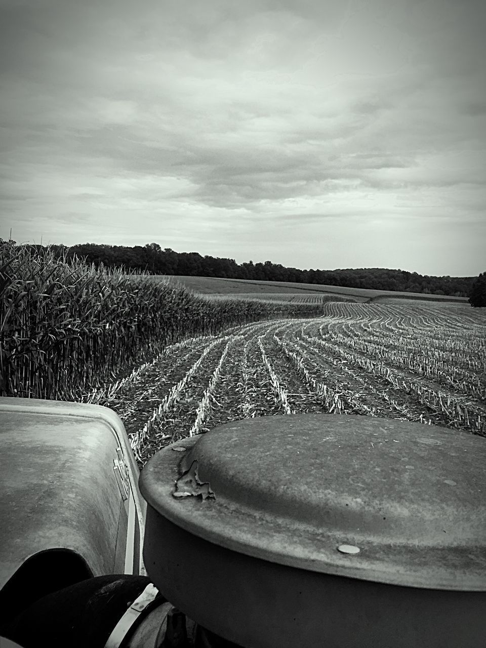 FARM AGAINST SKY