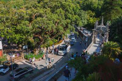 High angle view of road amidst trees
