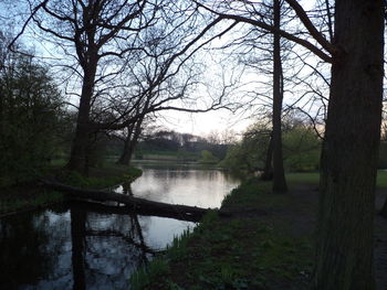 Scenic view of lake in forest against sky