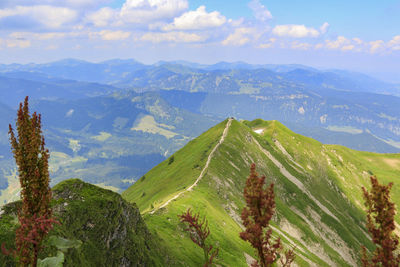 Panoramic view of green landscape against sky