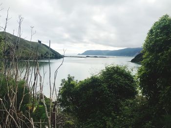 Scenic view of lake by trees against sky