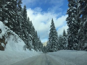 Road amidst trees against sky during winter