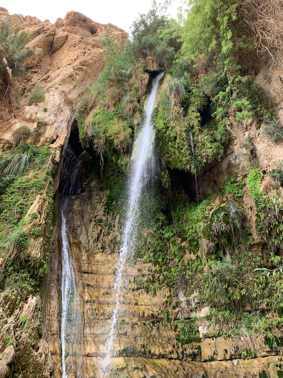 VIEW OF WATERFALL IN FOREST