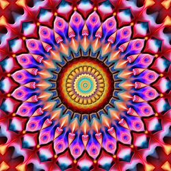 Full frame shot of multi colored flower