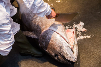 Low section of man with fish