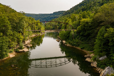 Bridge over river amidst trees against sky