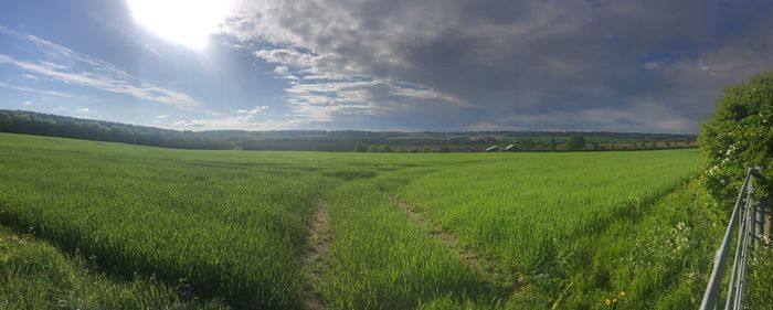 Scenic view of agricultural field against sky