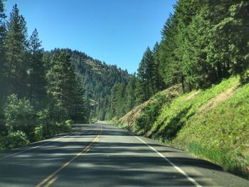 Road amidst trees against clear sky