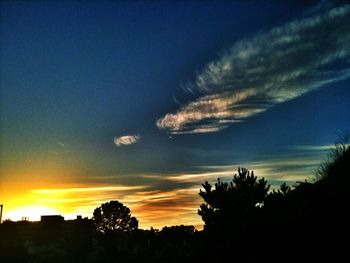 Silhouette of trees at sunset