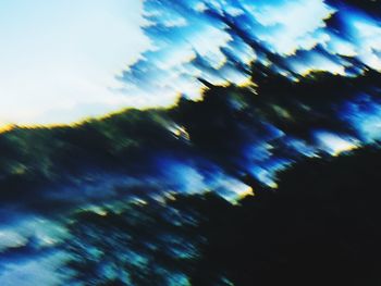 Full frame shot of plants against sky