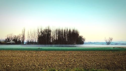 Scenic view of field against clear sky