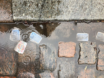 Close-up of puddle