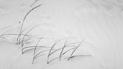 High angle view of snow on paper