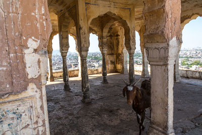 View of historical building