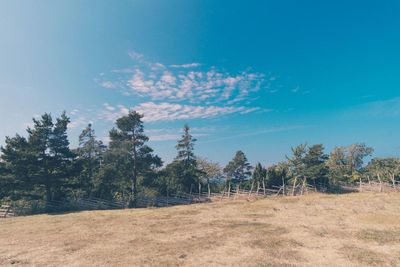 Trees growing on field against sky