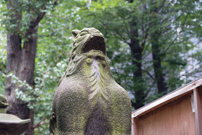 Rear view of giraffe against trees