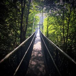 Footbridge in forest