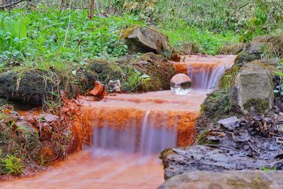 Scenic view of waterfall in forest