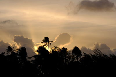 Low angle view of silhouette trees against sky during sunset