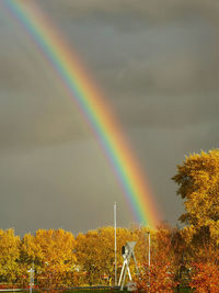 Rainbow over trees against sky