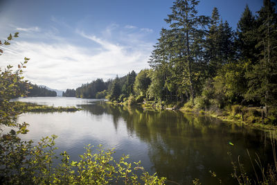 Scenic view of lake in forest against sky