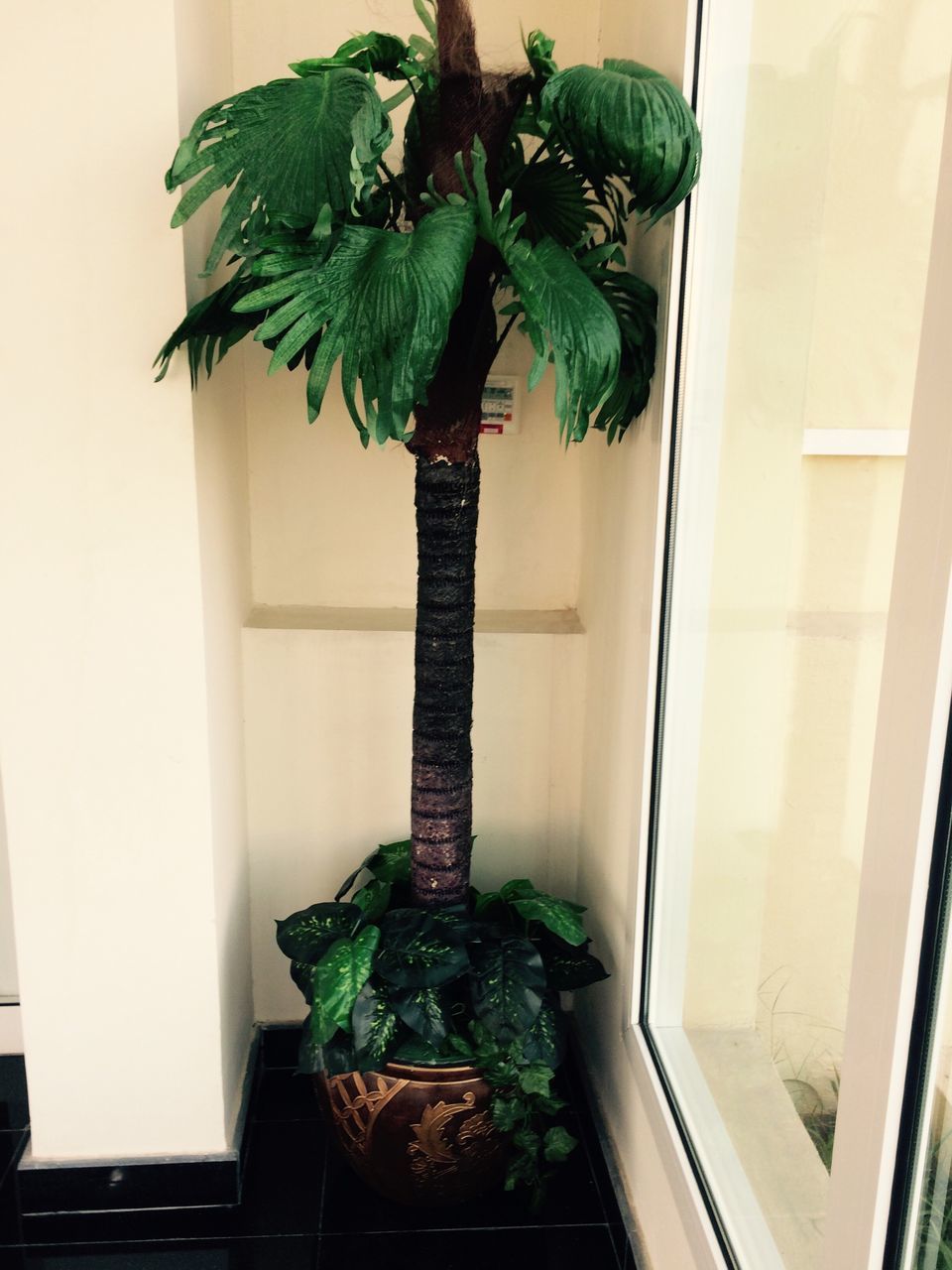 PALM TREE BY PLANTS AT HOME