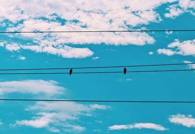 Low angle view of birds perching on cable against sky