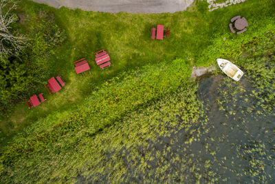 High angle view of rice on field