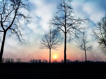 Silhouette of trees against cloudy sky