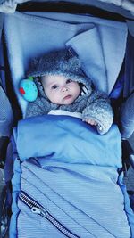 High angle portrait of baby boy lying in stroller