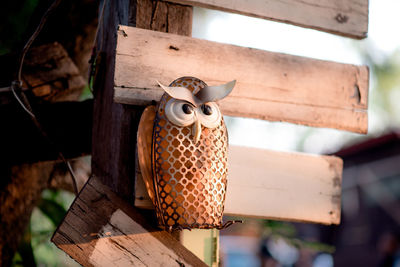 Close-up of electric lamp hanging on wood