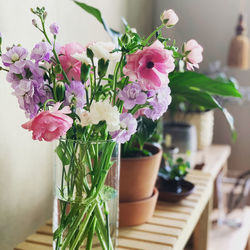 Close-up of flowers in vase on table