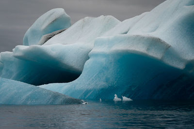 Close-up of icebergs on sea