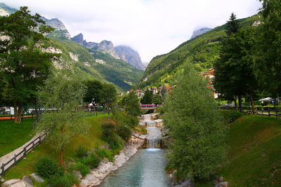 View of narrow stream along trees in park