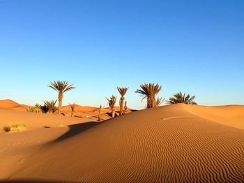 Sand dunes in desert against clear blue sky