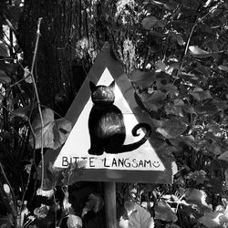 Information sign on tree trunk in forest