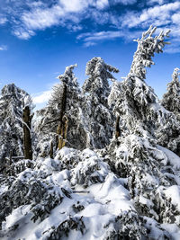 Low angle view of snow covered mountain against sky