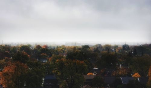 Trees and plants against sky during autumn