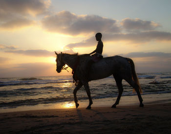 Man riding horse on beach against sky during sunset