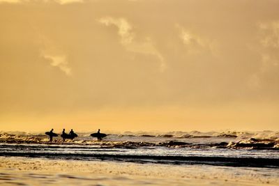 A group of surfers entering the ocean at sunrise. orange hue in the sky