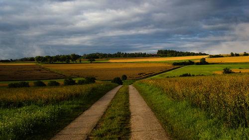 Scenic view of agricultural field against sky