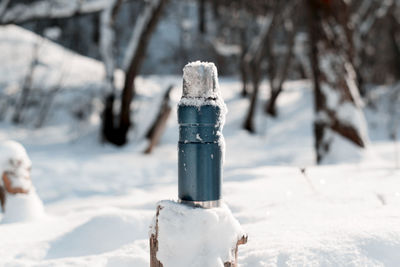 Thermos covered with snow, tree stump, winter forest on a sunny day. blue vacuum travel flask