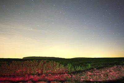 Scenic view of landscape against sky at night