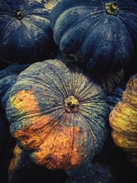 Close-up of pumpkin