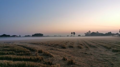 Scenic view of field against sky during sunset