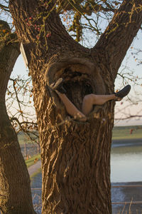 Woman standing on tree branch
